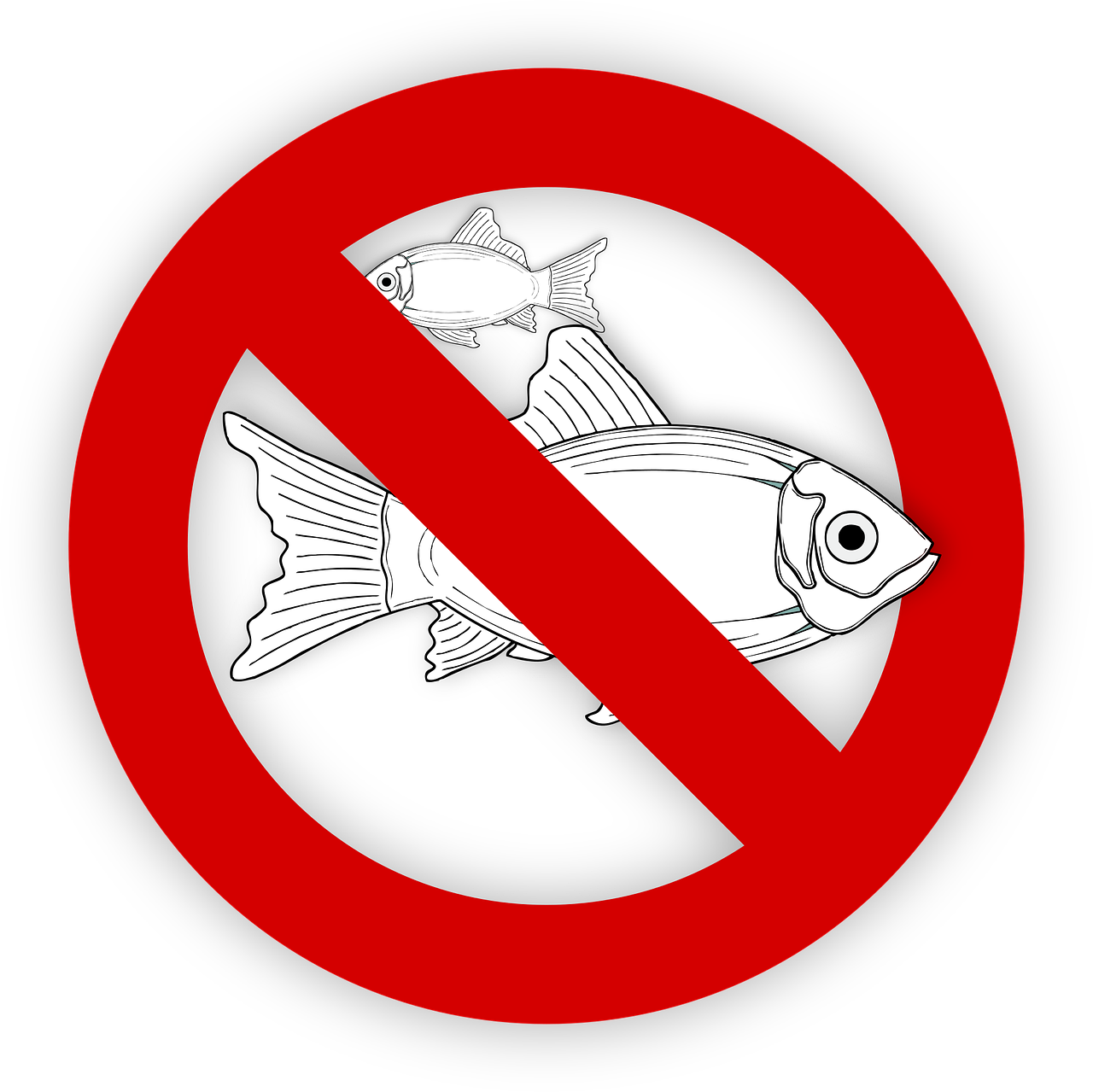 pixabay-995050-45.png